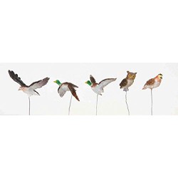Lemax - Oiseaux assortis – Lot de 5.