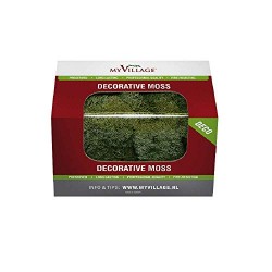 LICHEN VERT FONCE 50GR MYD31