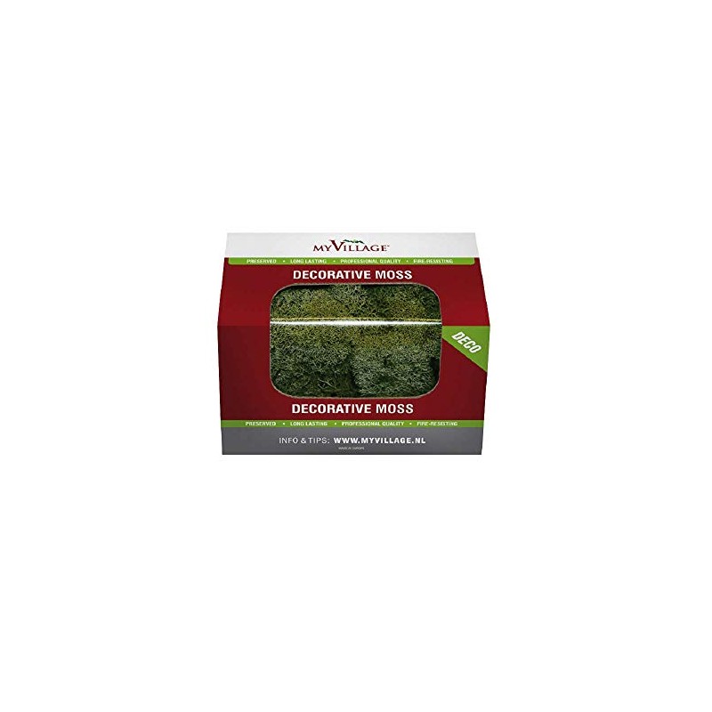 LICHEN VERT FONCE 50GR MYD31